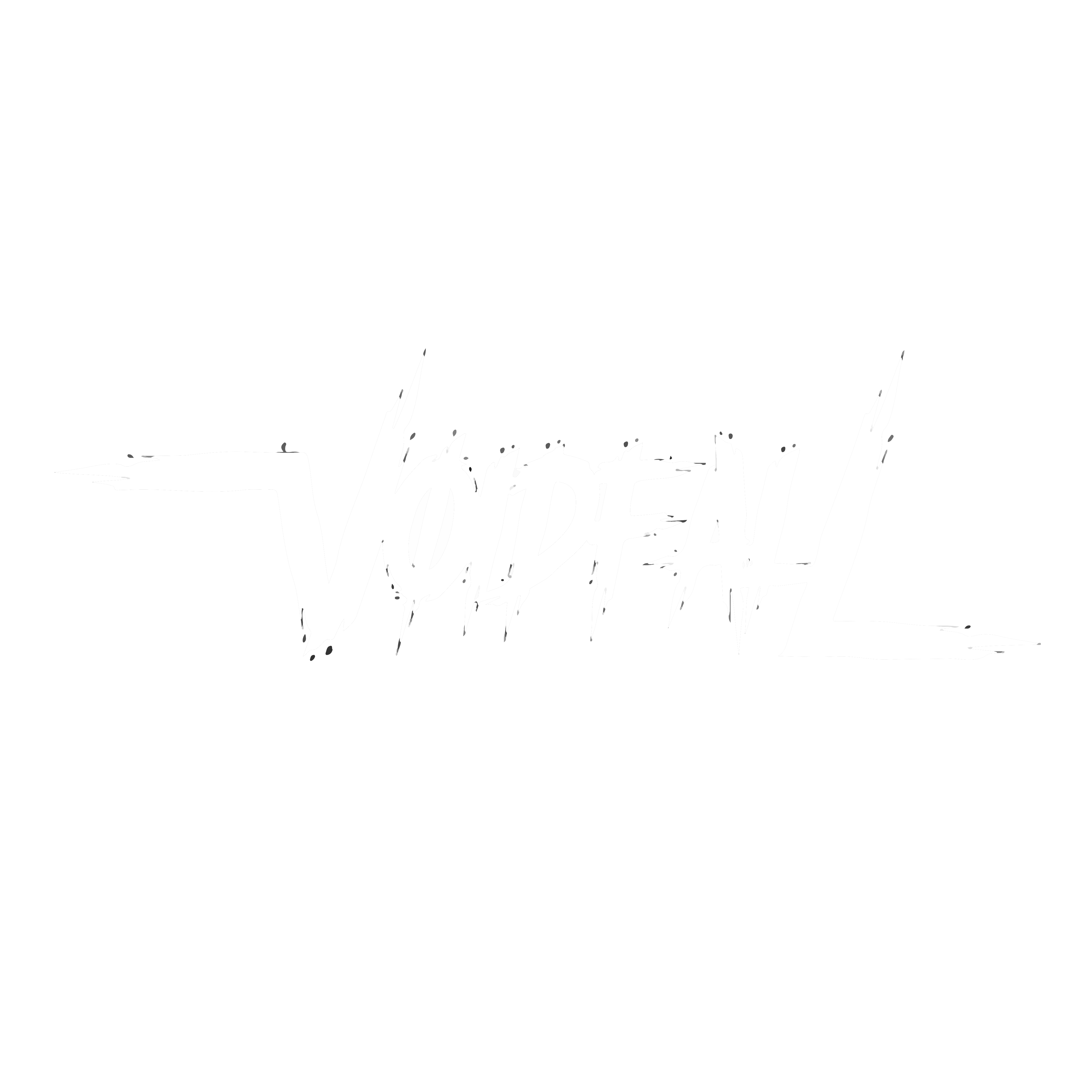 Logo Voidfall